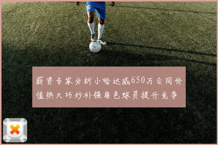 薪资专家分析小哈达威650万合同价值热火巧妙补强角色球员提升竞争力