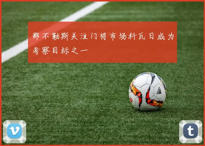 那不勒斯关注门将市场科瓦日成为考察目标之一