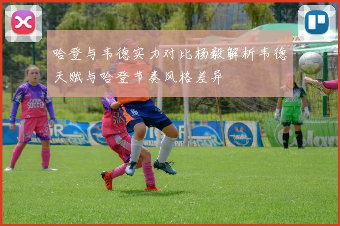哈登与韦德实力对比杨毅解析韦德天赋与哈登节奏风格差异
