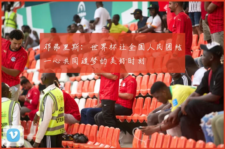 邓弗里斯：世界杯让全国人民团结一心共同追梦的美好时刻